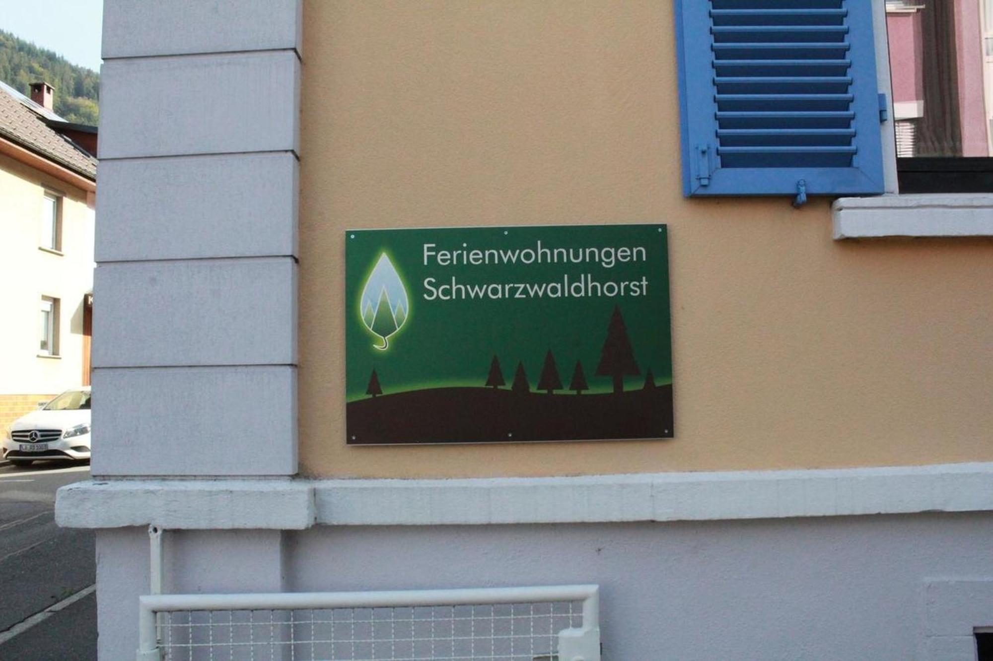 Schwarzwaldhorst 1 Fuer 8 Gaeste In Todtnau, Liftverbund Feldberg Eksteriør billede