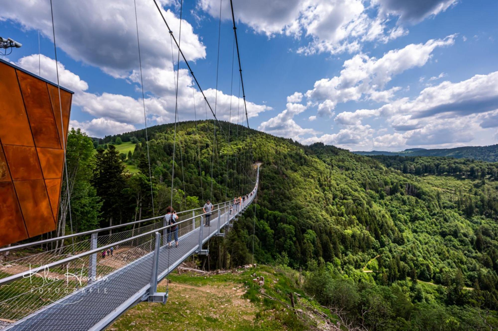 Schwarzwaldhorst 1 Fuer 8 Gaeste In Todtnau, Liftverbund Feldberg Eksteriør billede